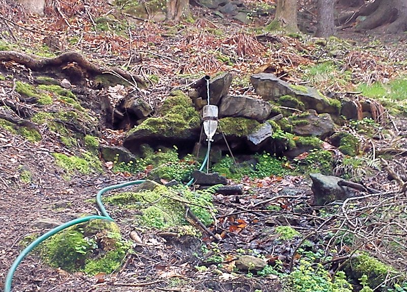 studánka Krmelec (8393) - duben 2014