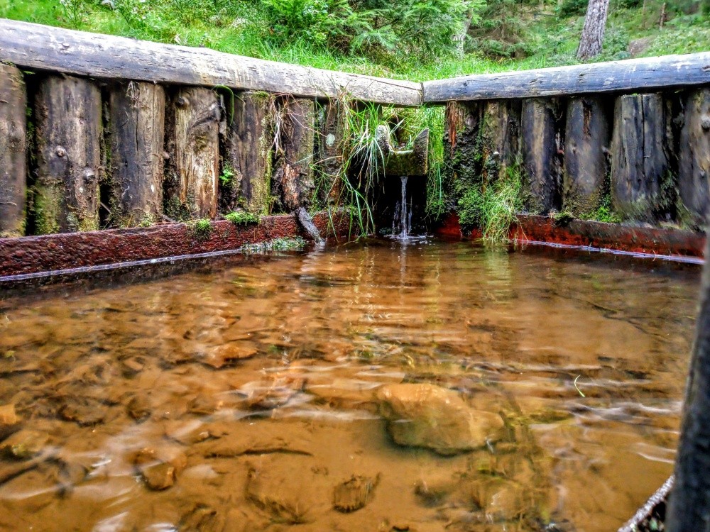 studánka Pod Šibeničním vrchem (8395) - září 2024