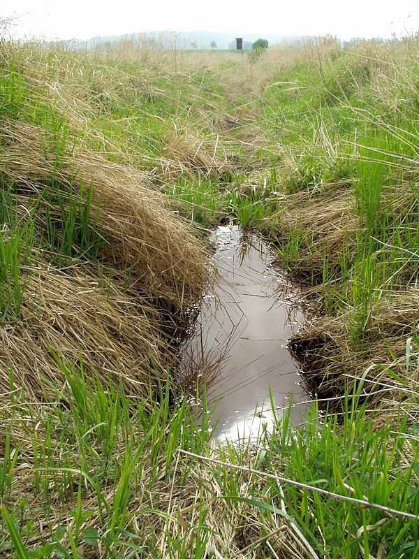 studánka V Laňkusích (8404) - duben 2014