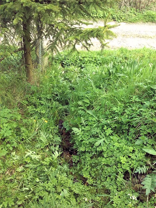 pramen Pod doskočištěm (8410) - duben 2014