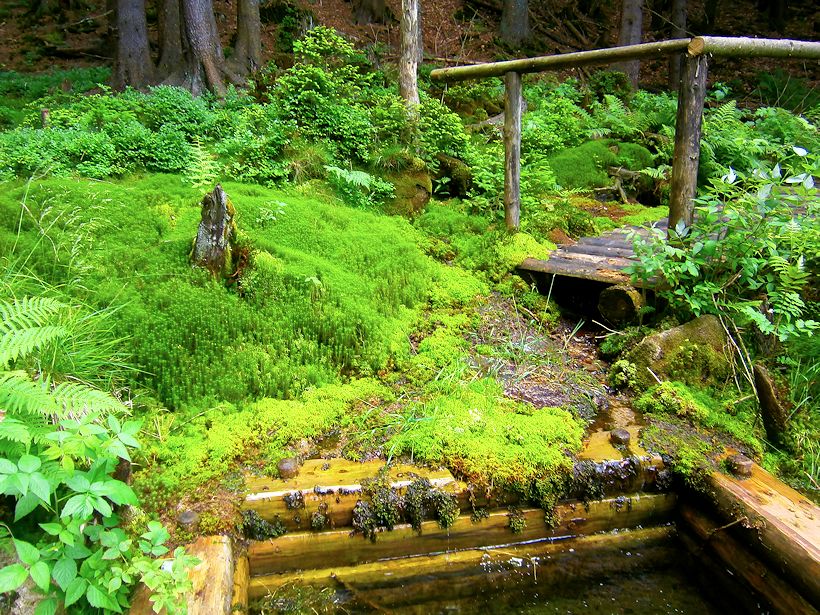 Oslí studánka (8416) - datum neznámé