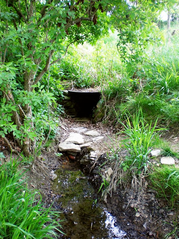 studánka bez jména (8424) - květen 2014
