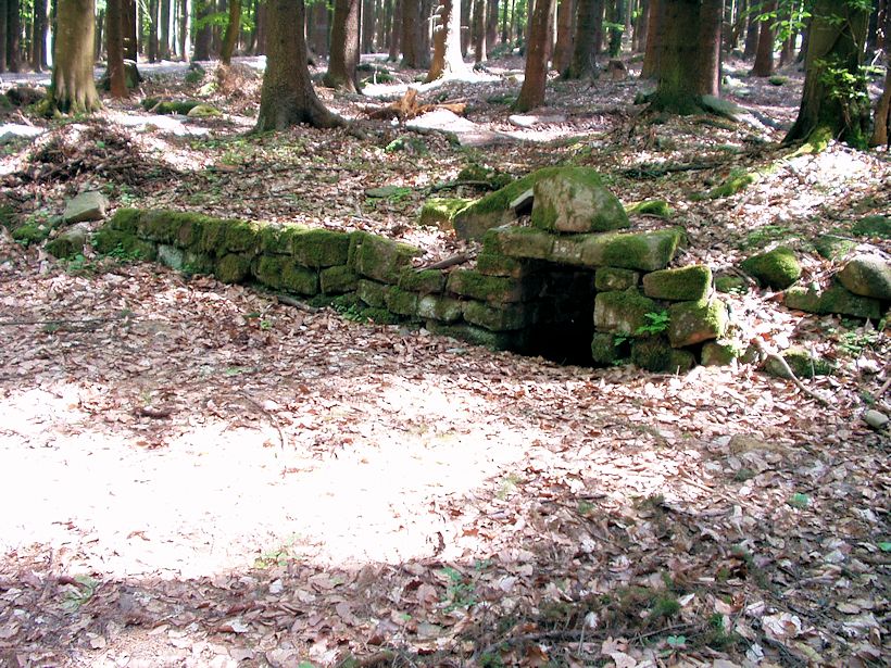 studánka U bývalé zelené boudy (8448) - květen 2014