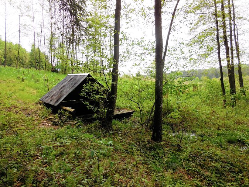 studánka Pod Farským kopcem (8474) - květen 2014