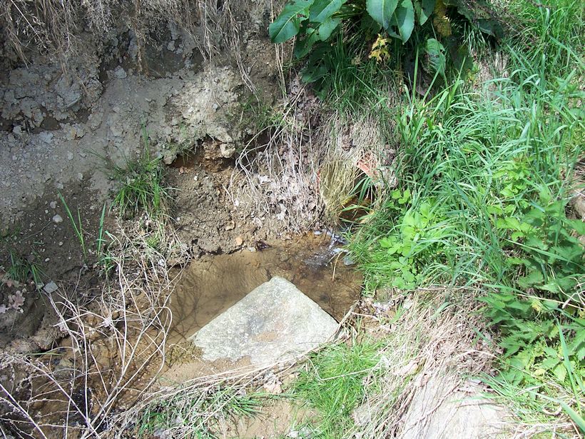 studánka Pod zatáčkou (8482) - květen 2014