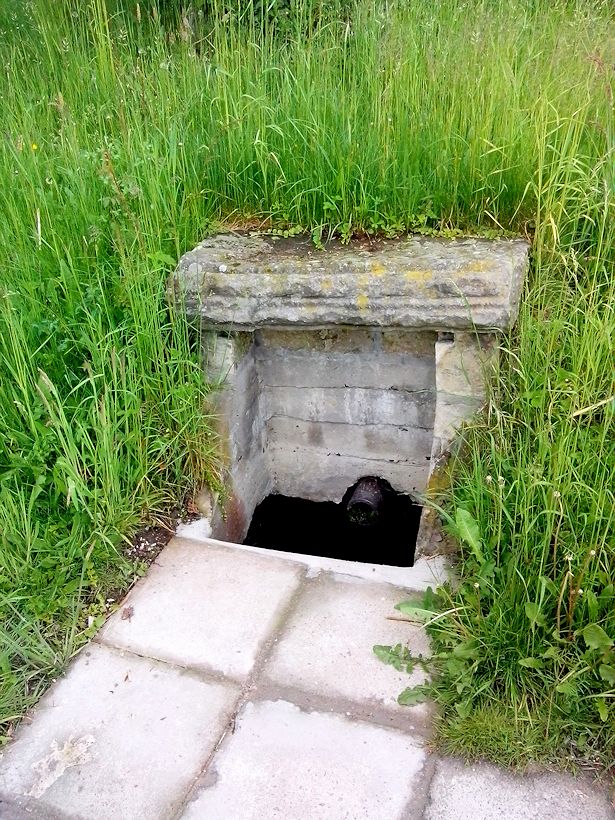 studánka bez jména (8485) - květen 2014
