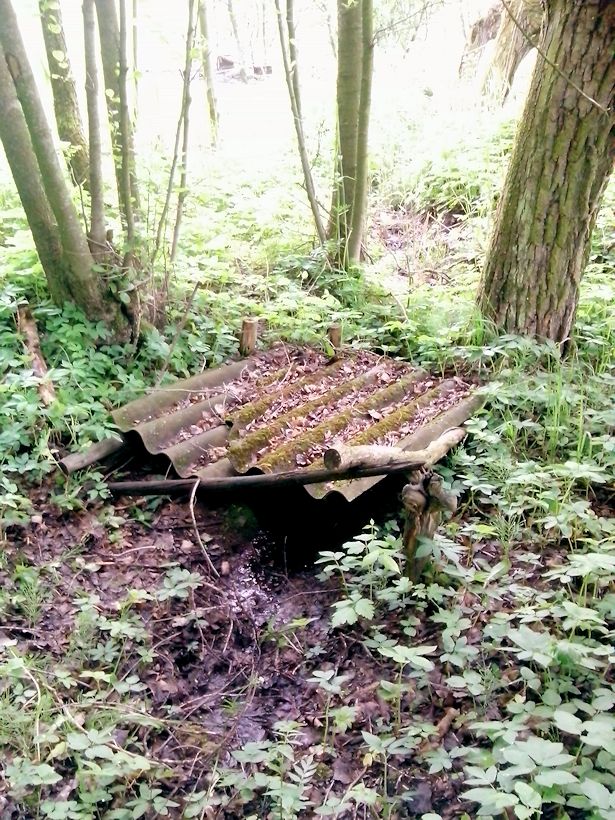 studánka bez jména (8486) - květen 2014