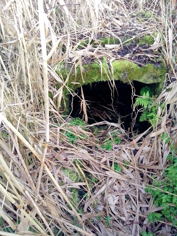 studánka bez jména (8487) - květen 2014
