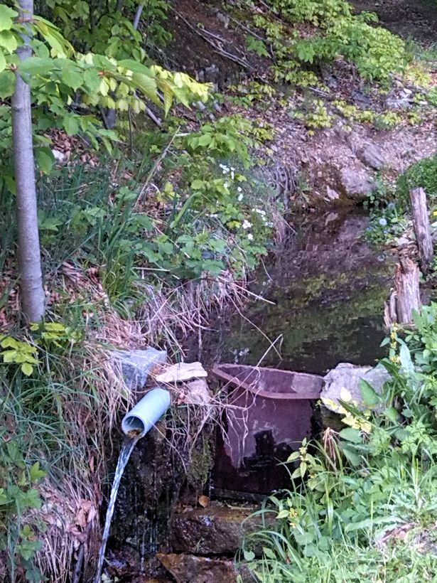studánka V Bezpráví (8490) - květen 2014