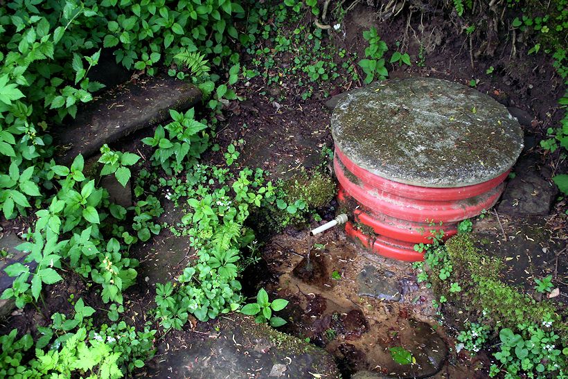 studánka Za Potokem (8497) - květen 2014