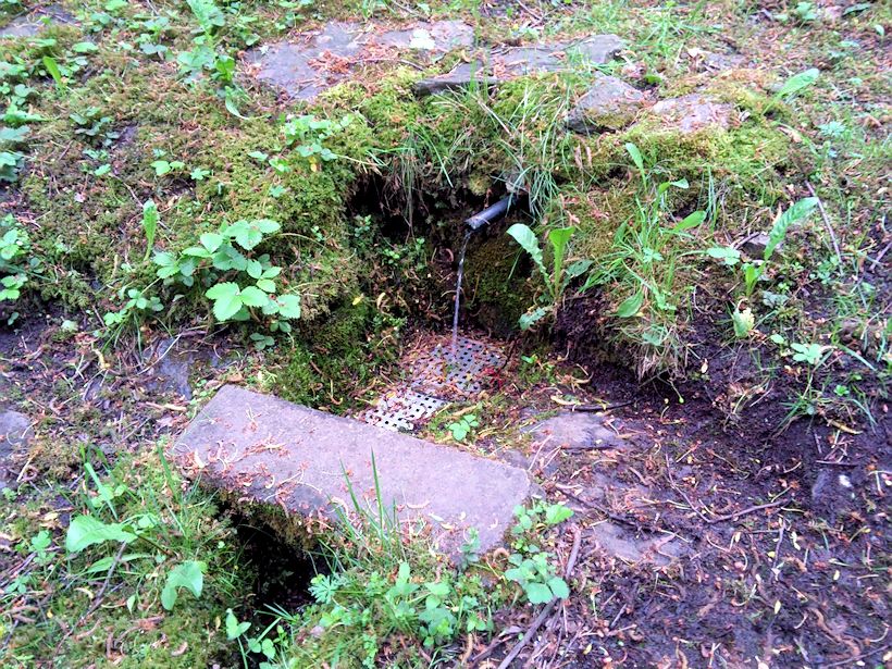 Podhrázskova studánka (8502) - květen 2014