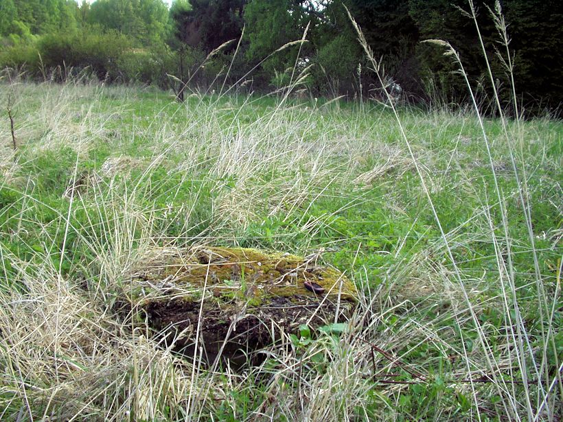 studna bez jména (8507) - květen 2014
