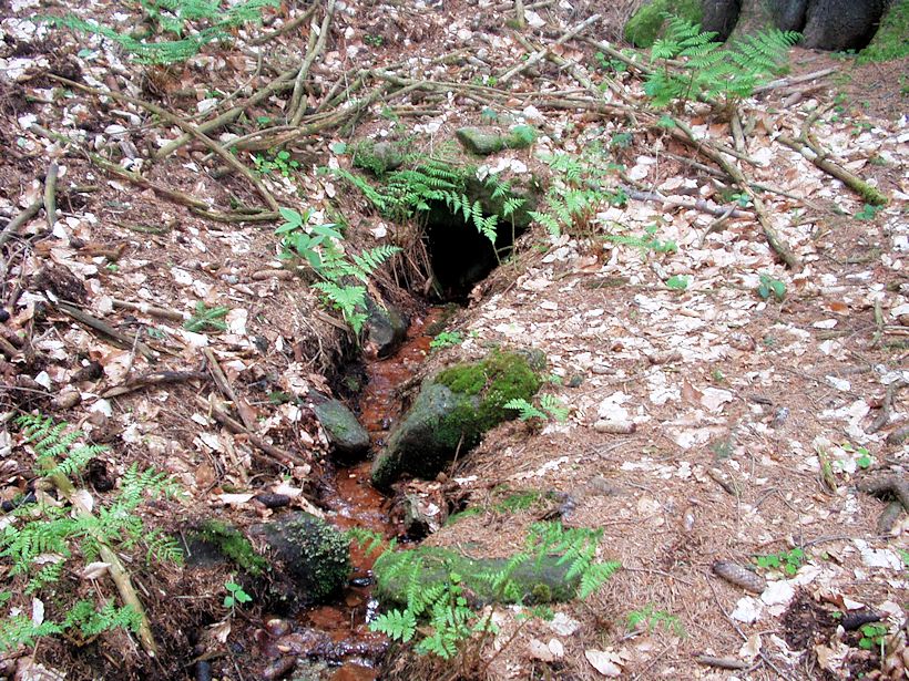 studánka V oboře (8508) - květen 2014