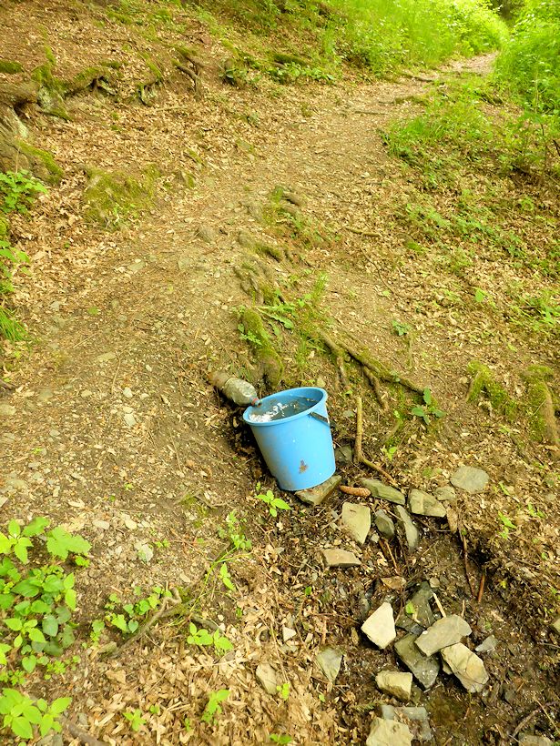 studánka bez jména (8509) - květen 2014