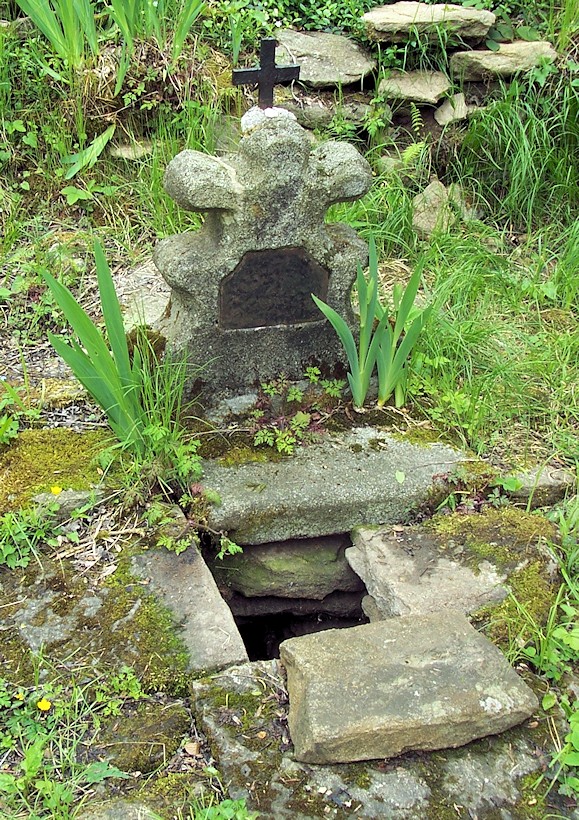 studánka Klenovka (8521) - květen 2014