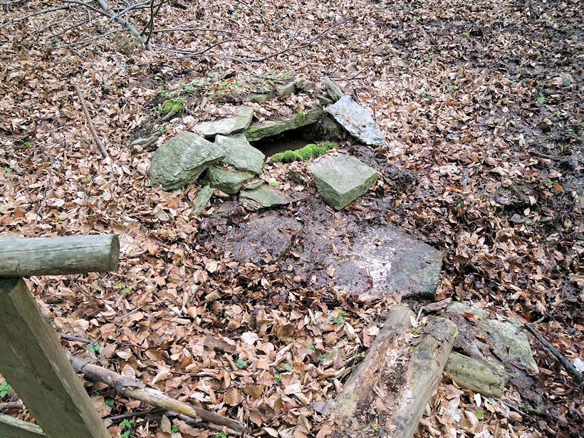 studánka Nad jedenáctkou (8534) - květen 2014