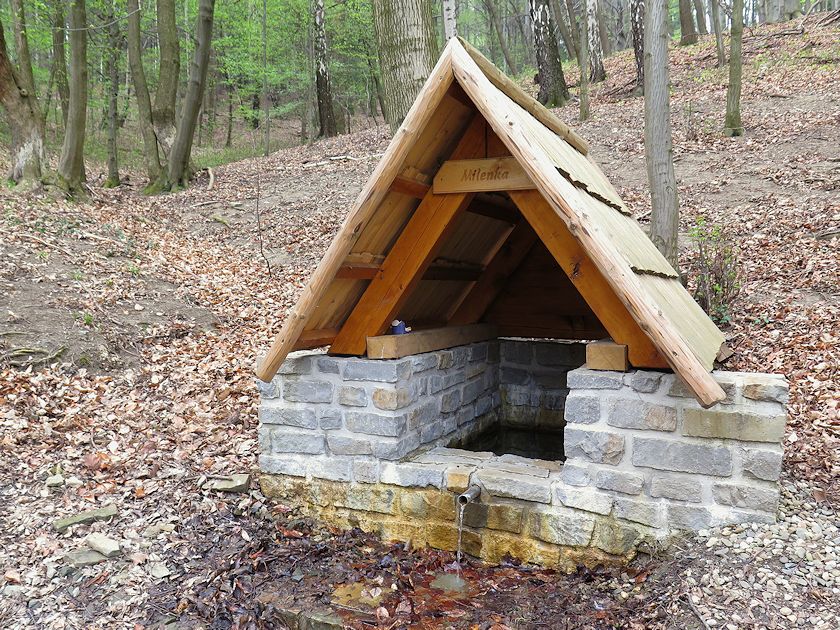 studánka Milenka (8547) - květen 2014