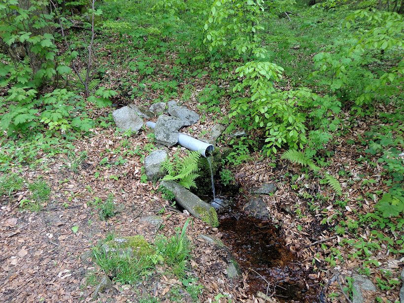 pramen Růženec (8559) - květen 2014