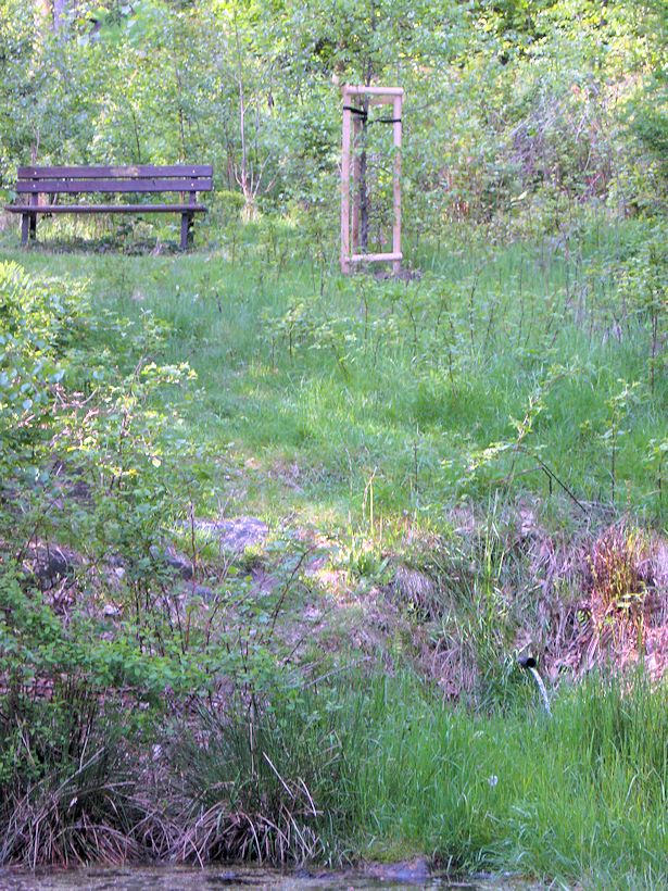 pramen Kokonínský park (8566) - květen 2014