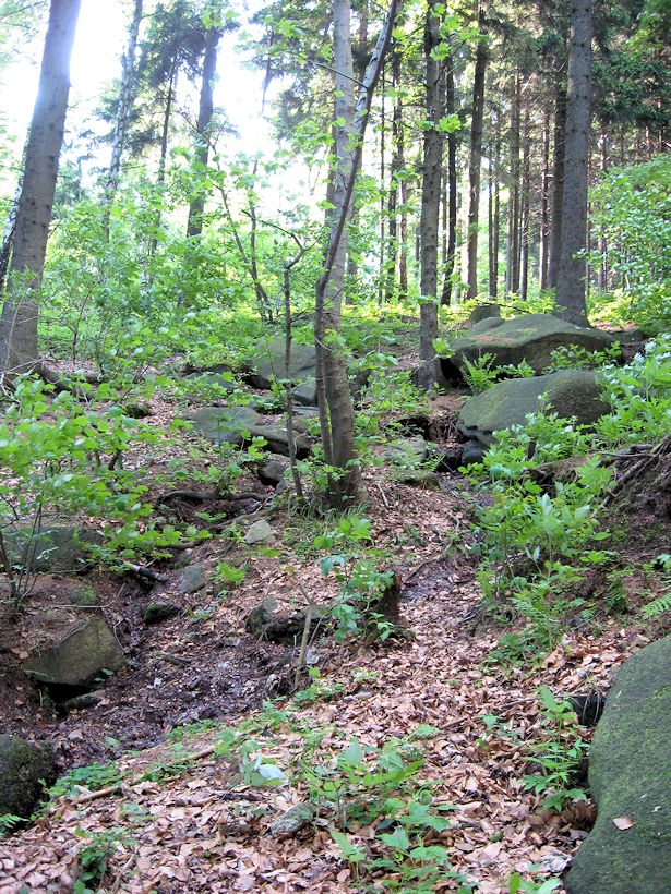 prameniště Za školkou (8567) - květen 2014