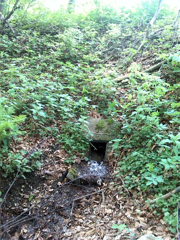 studánka Pod Chudobou (8575) - květen 2014