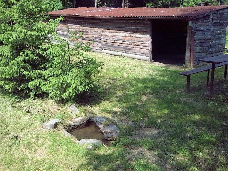 studánka Pod Drtičem (8597) - květen 2014