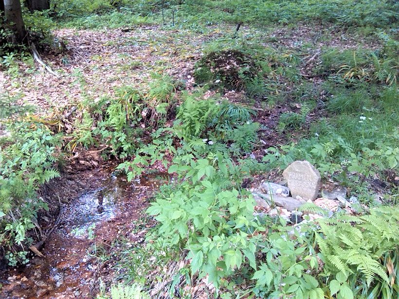 pramen Moravská Sázava II (8602) - květen 2014