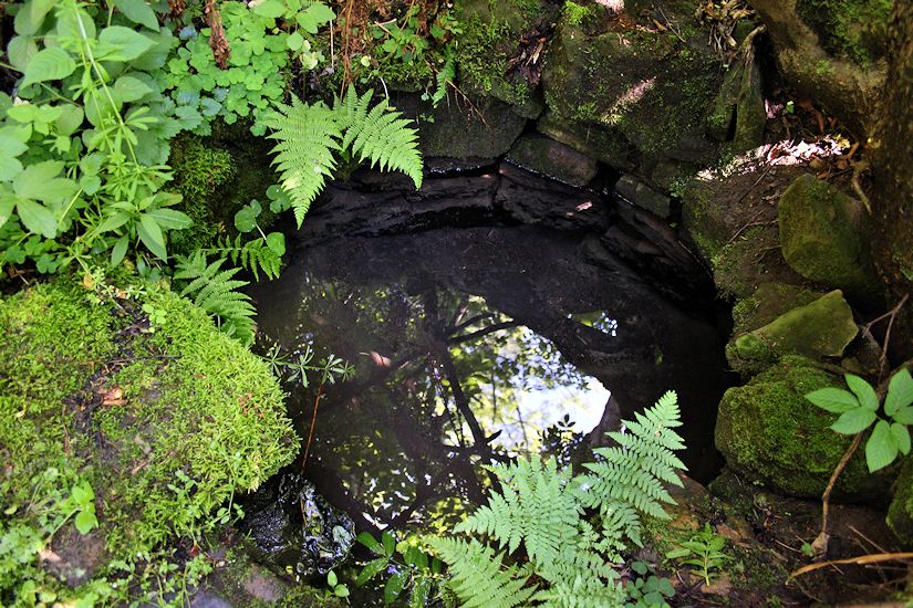 Hladová studánka (8607) - květen 2014
