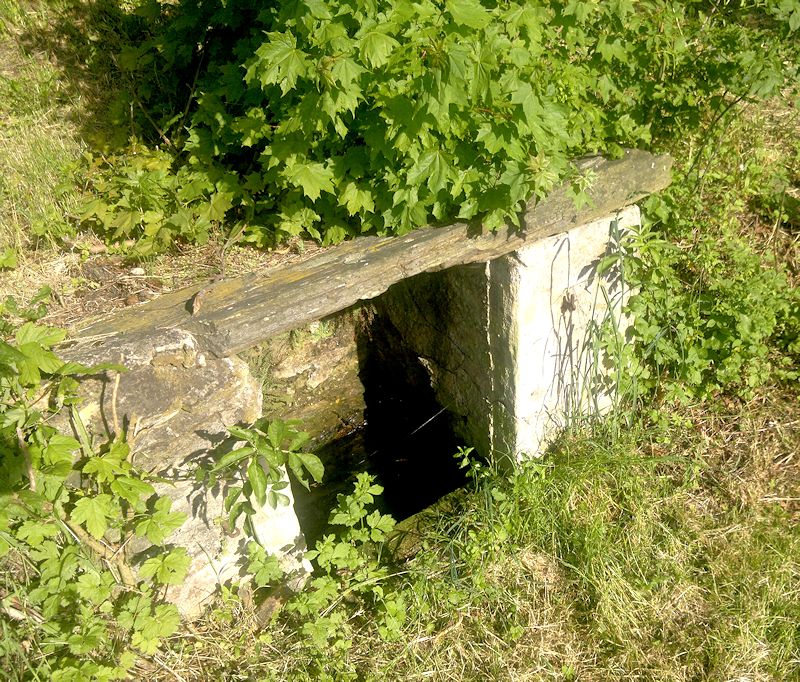 studánka bez jména (8620) - květen 2014