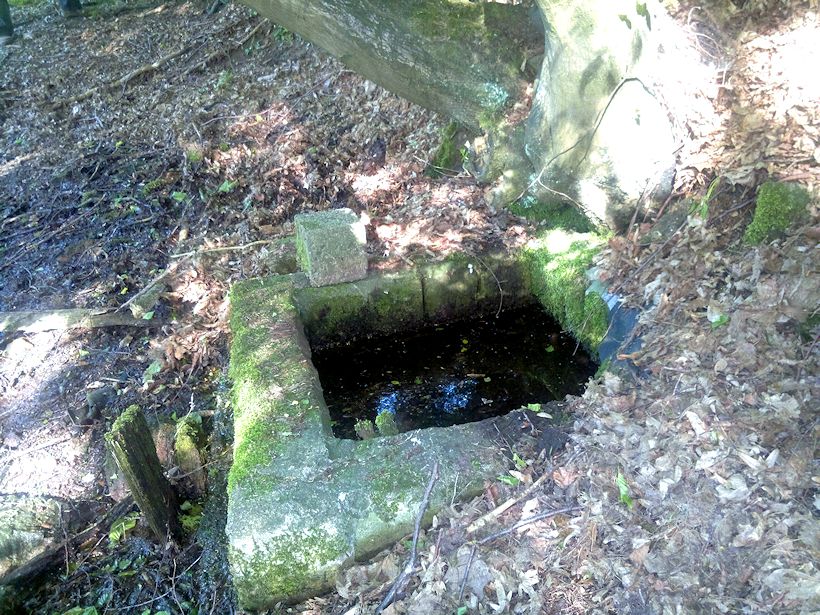 studánka bez jména (8621) - květen 2014