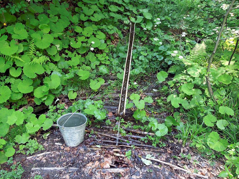 studánka Na Ostrém vrchu (8624) - květen 2014