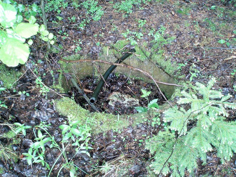 studánka U bunkrů (8670) - červen 2014