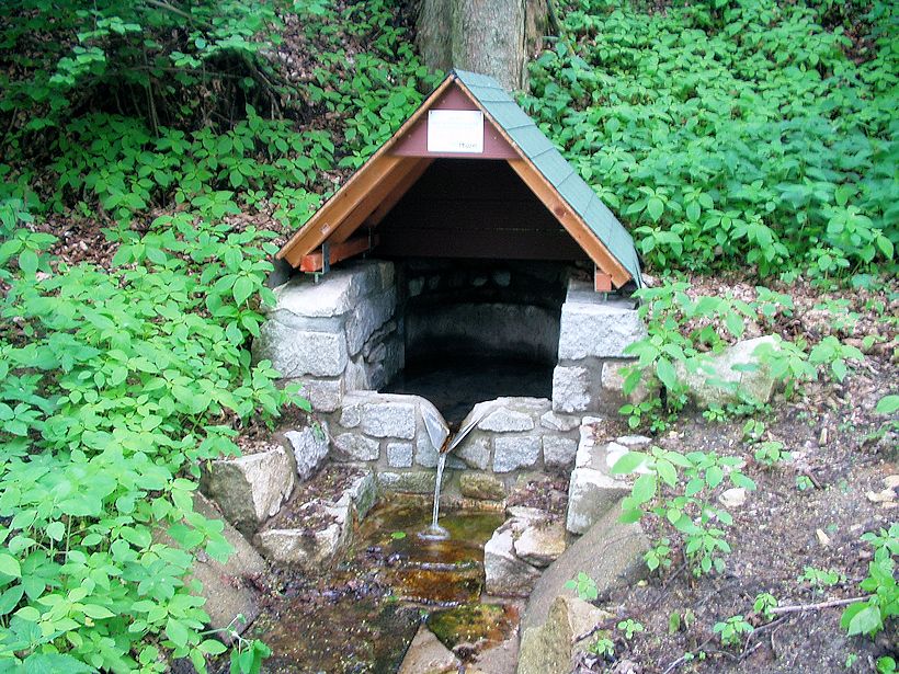 studánka Křížova louka (8676) - červen 2014