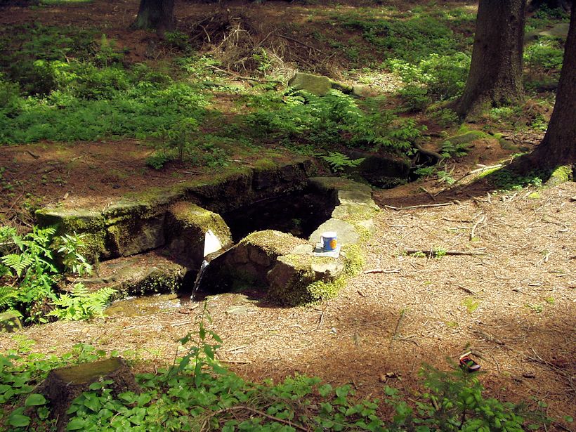 studánka Pod Kudlou (8678) - červen 2014