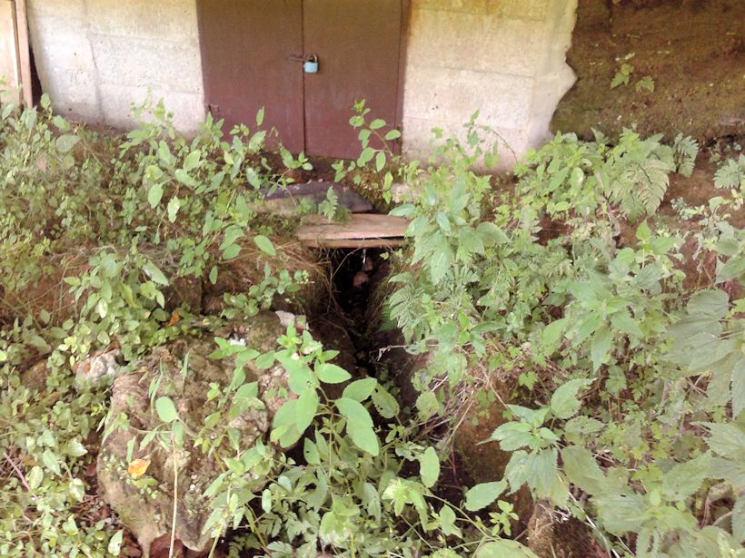 studánka bez jména (8680) - červen 2014