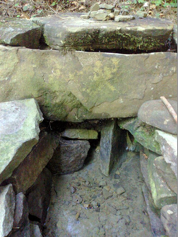 studánka Troják (8694) - červen 2014