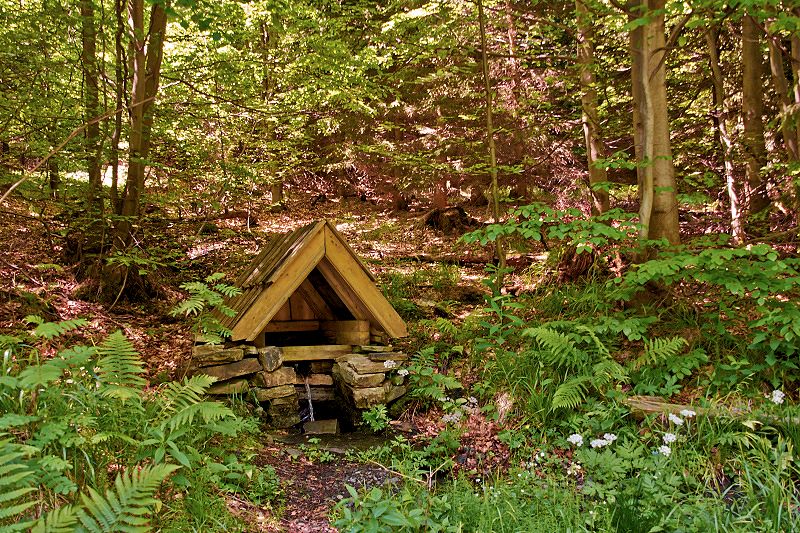 studánka bez jména (8696) - červen 2014