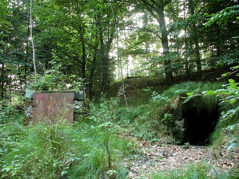 studánka U myslivecké chaty (8700) - červen 2014