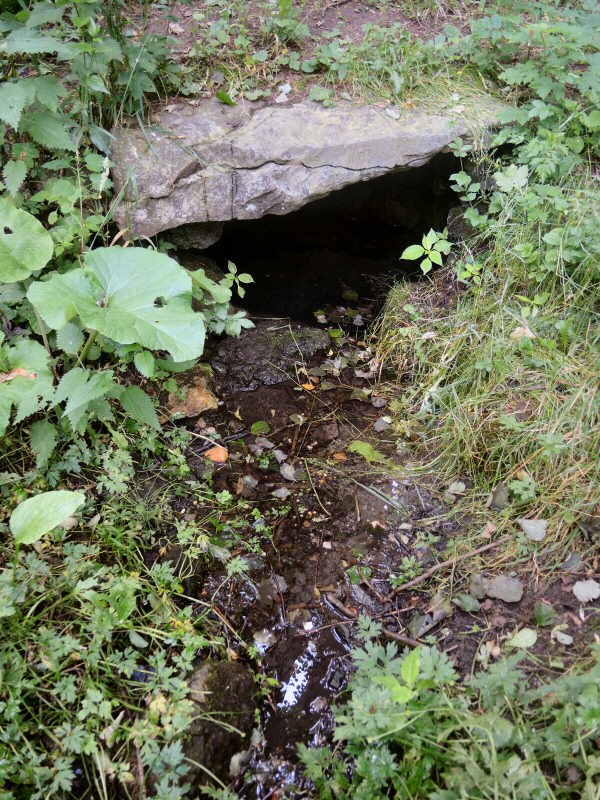 studánka Nad Nemocnicí (8717) - červen 2014