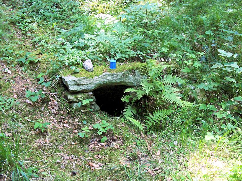 studánka Pod třešní (8738) - červen 2014