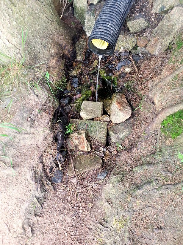 studánka Dupanďačka (8753) - červen 2014