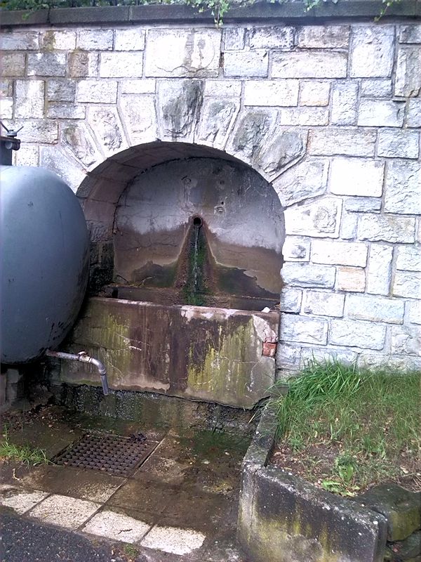 studánka Na Skalách (8775) - červen 2014