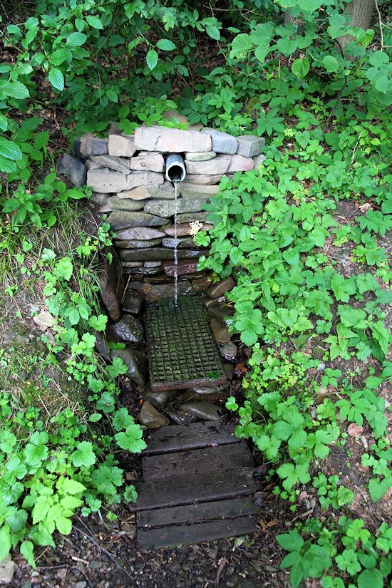 studánka Ve Dříni 2 (8793) - červenec 2014