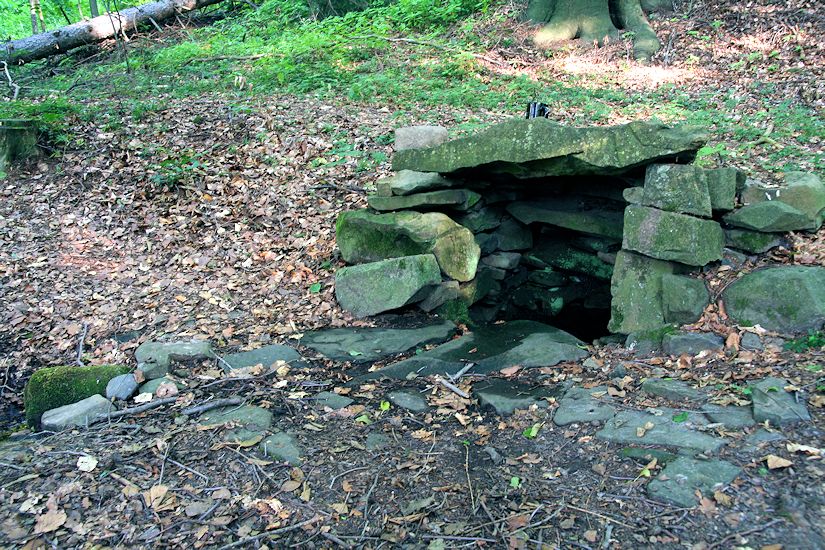 studánka Gabrielka (8795) - červenec 2014