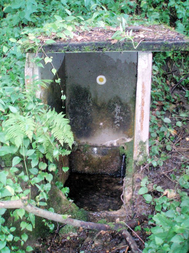 studánka V díře (8817) - červenec 2014