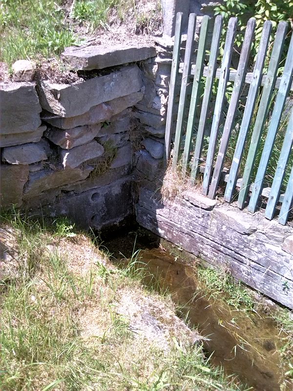 studánka Pod silnicí (8828) - červenec 2014