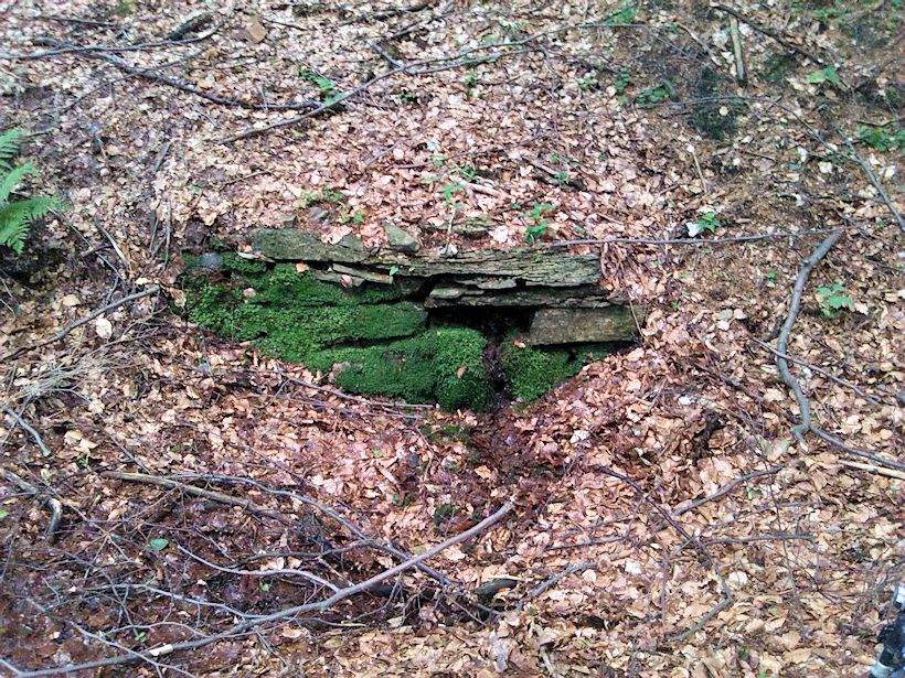 studánka Za křížem (8845) - červenec 2014