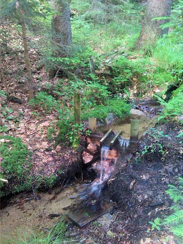 studánka U Františkovy chaty II (8848) - červenec 2014