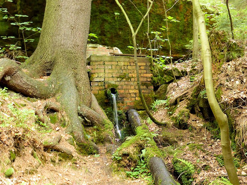 studánka U Dolnožlebského vodopádu (8850) - červenec 2014