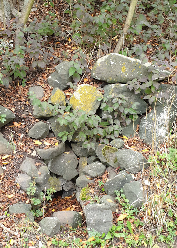 Borískova studánka (8858) - říjen 2020